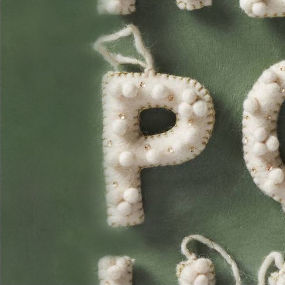 NWT Anthropologie Monogram “P”